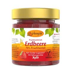 Produkt Erdbeer Marmelade mit Xylit 200 g Birkenzucker ohne Zucker